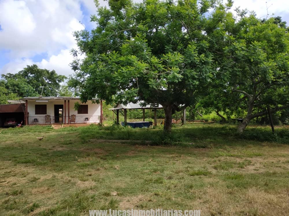FINCA