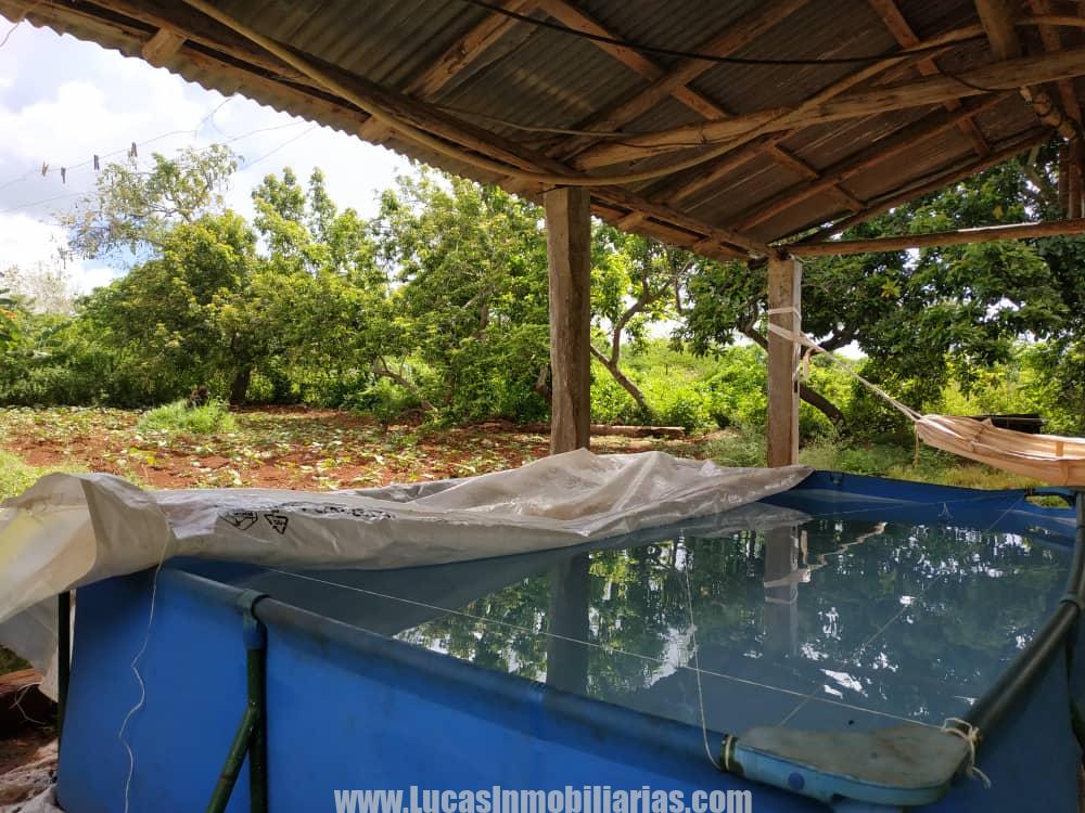 FINCA