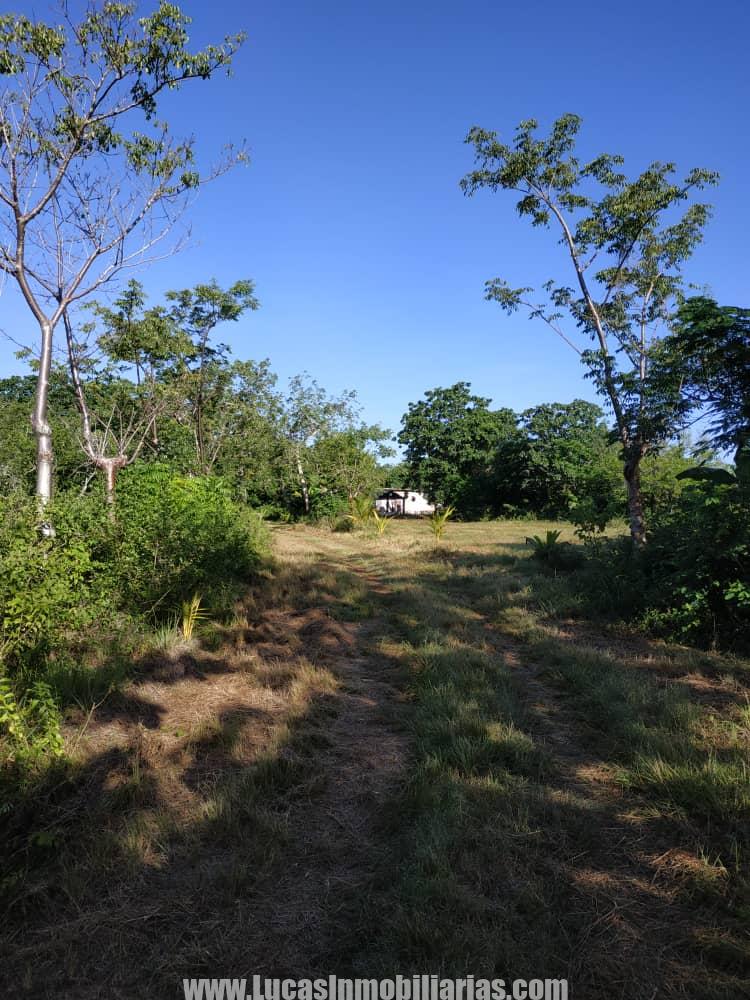 FINCA