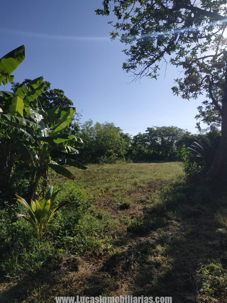 FINCA