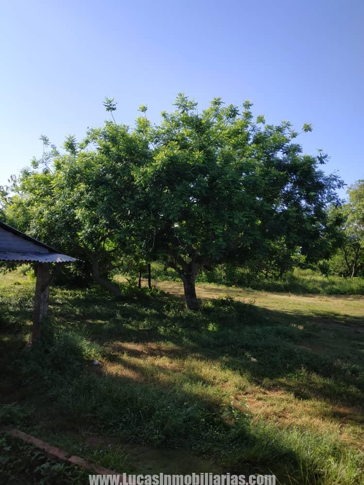FINCA
