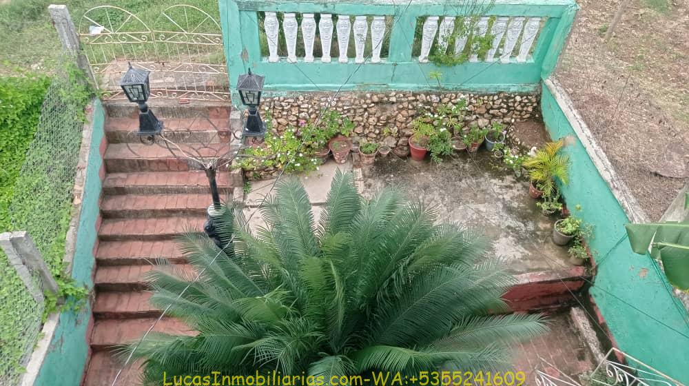 BIPLANTA