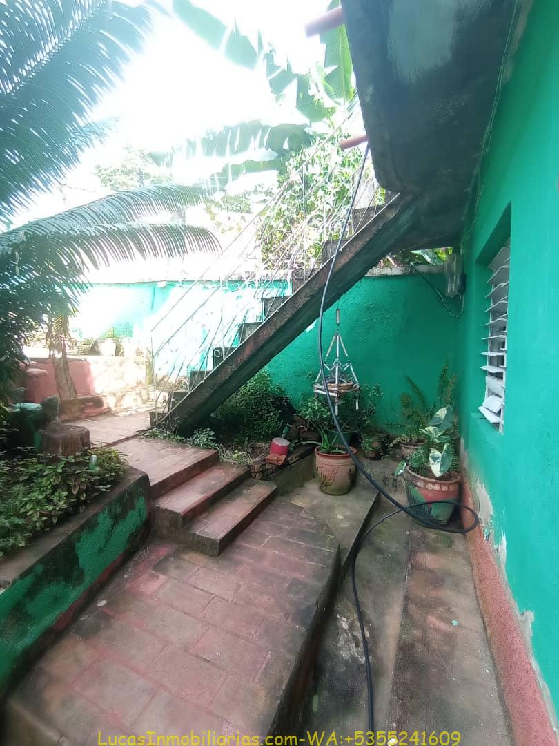 BIPLANTA