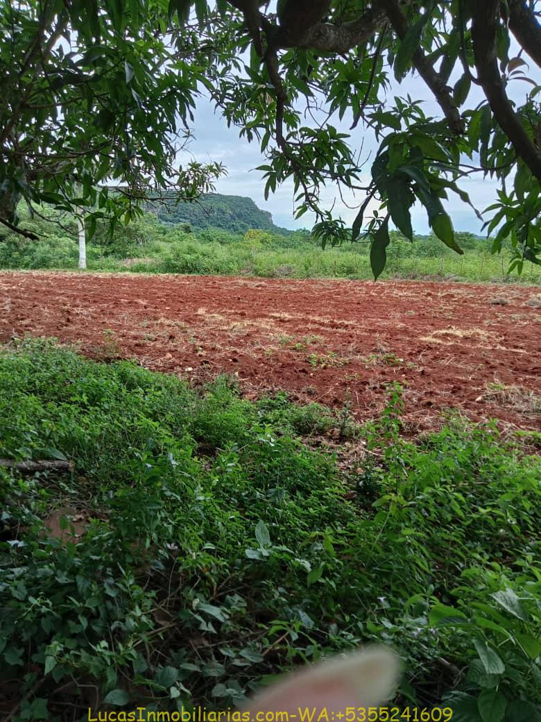 FINCA