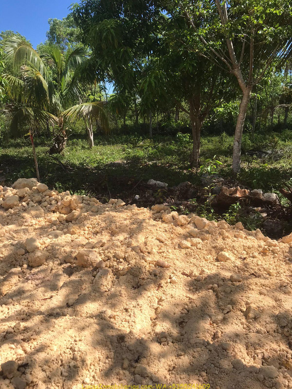 Terreno